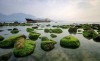 남오 갯바위 Bãi Rạn Nam Ô 다낭