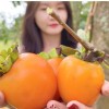 꺼우닷 가든 커피 Cầu Đất Garden Coffee 달랏
