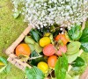 꺼우닷 가든 커피 Cầu Đất Garden Coffee 달랏