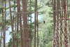 달랏 하이 로프 코스 어드벤처 
