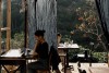 인 더 포레스트 In The Forest 달랏