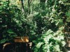 보호 달랏 Boho Dalat Brunch & Dine 달랏 (구 Le Chalet)