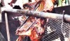 짬남 계곡 식당 (Thung Lũng Trăm Năm) 달랏