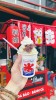 야타이 도우로 라멘 Yatai Douro Ramen 달랏