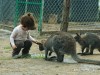달랏 주두 동물원 입장권
