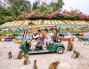 몽키 아일랜드 (Đảo Khỉ, 혼 라오)