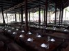 와이바 아이리조트 Y-Bar I-Resort 냐짱