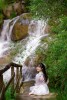 F 꽃밭 카페 F Cafe Dalat Flower Field