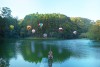 달랏 릉 지아오 흐엉 Rung Giao Huong Da Lat