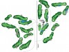 반트리 골프 코스 