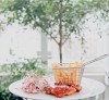 추온추온 비스트로 바 Chuồn Chuồn Bistro & Bar 푸꾸옥