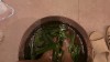 피오나 스파 (Fiona Spa Phu Quoc)