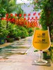 드래프트 비어 선셋 타운 (Draft Beer Sunset Town)