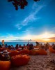 옥센 비치 바 클럽 OCSEN Beach Bar & Club 푸꾸옥
