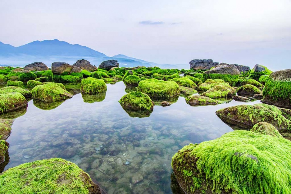 남오 갯바위 Bãi Rạn Nam Ô 다낭