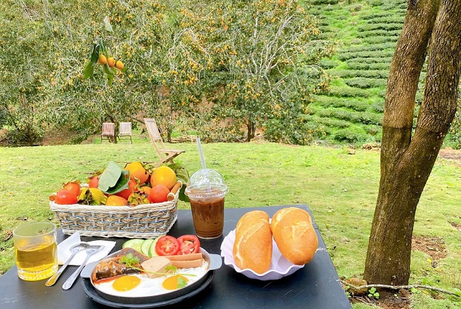 꺼우닷 가든 커피 Cầu Đất Garden Coffee 달랏