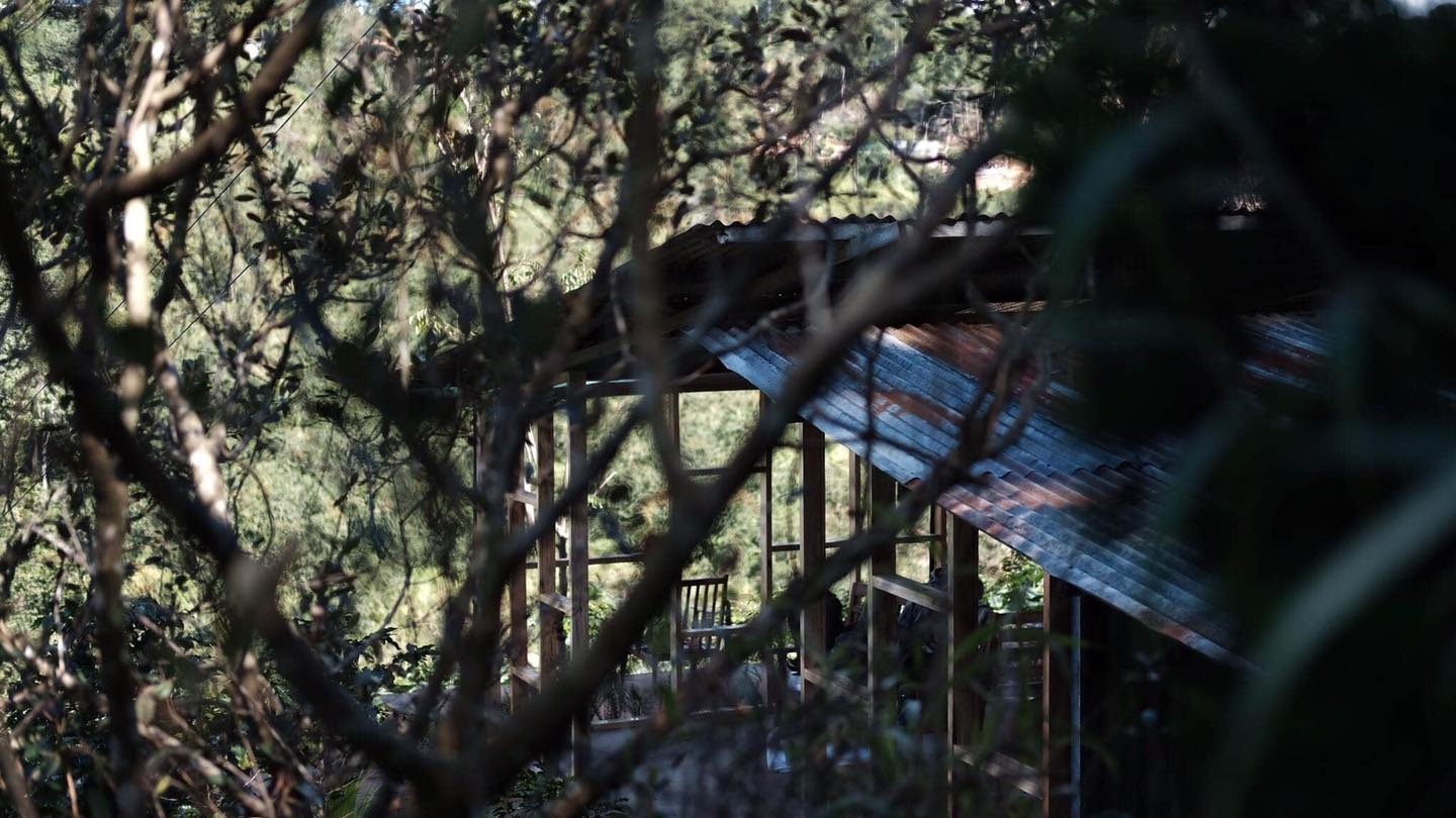 인 더 포레스트 In The Forest 달랏