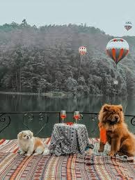 락 티엔 저이 (무협 콘셉트 테마정원)