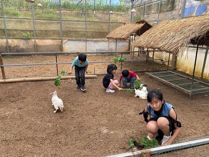 달랏 버섯 마을 입장권