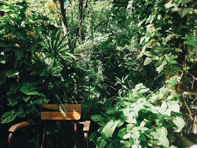 보호 달랏 Boho Dalat Brunch & Dine 달랏 (구 Le Chalet)