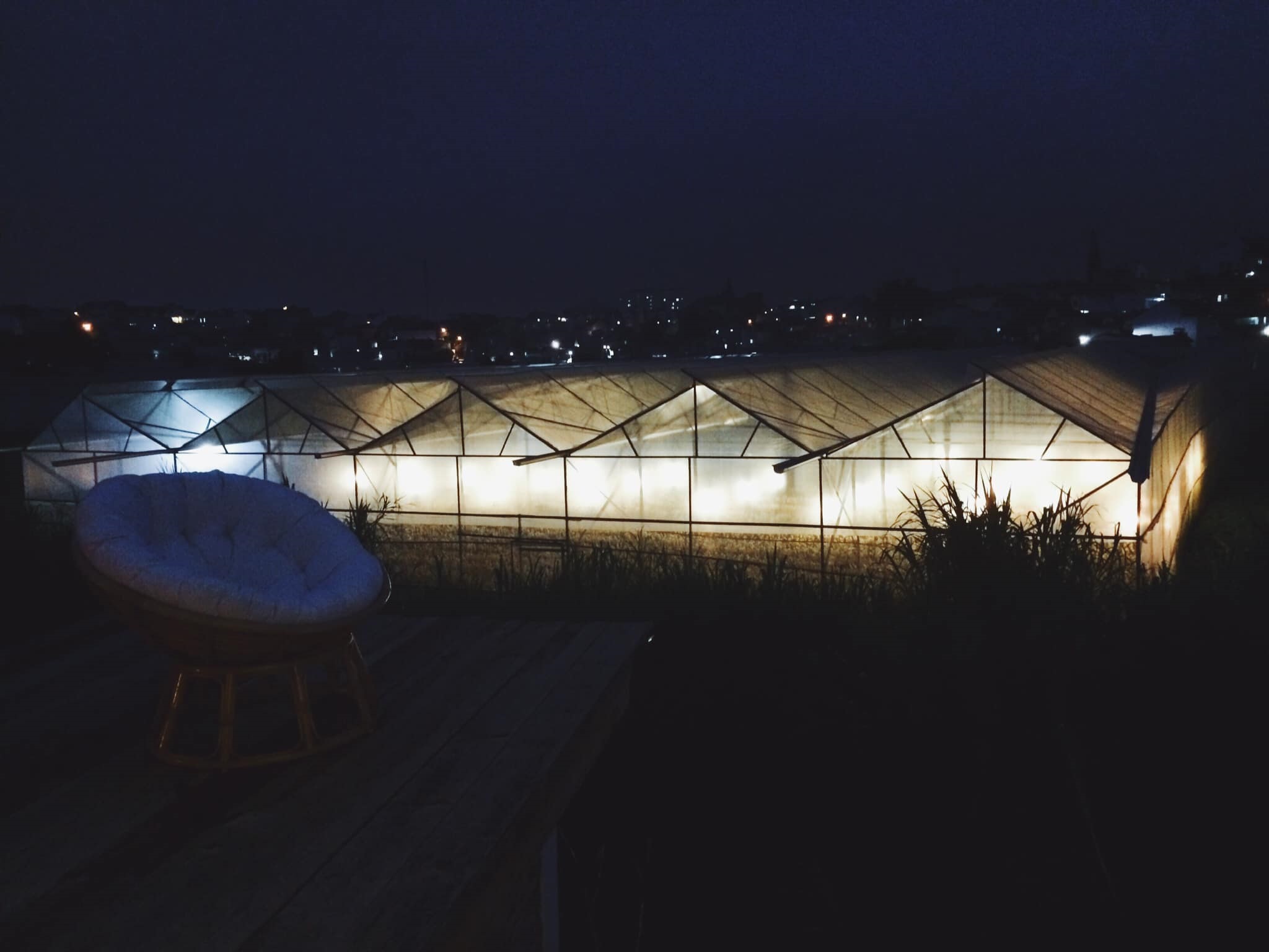 파파야 콴 Quán Đu Đủ 달랏
