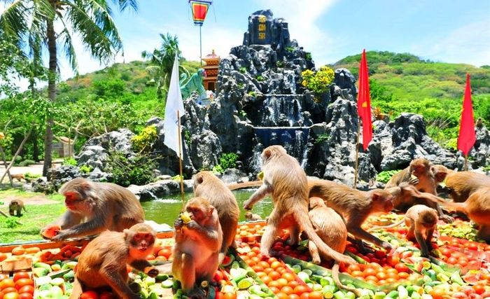 몽키 아일랜드 (Đảo Khỉ, 혼 라오)