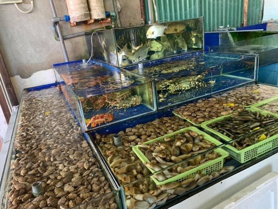 벤깡 해산물 Hải Sản Bến Cảng 냐짱