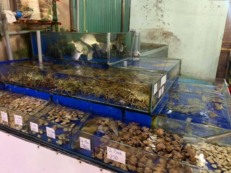 벤깡 해산물 Hải Sản Bến Cảng 냐짱