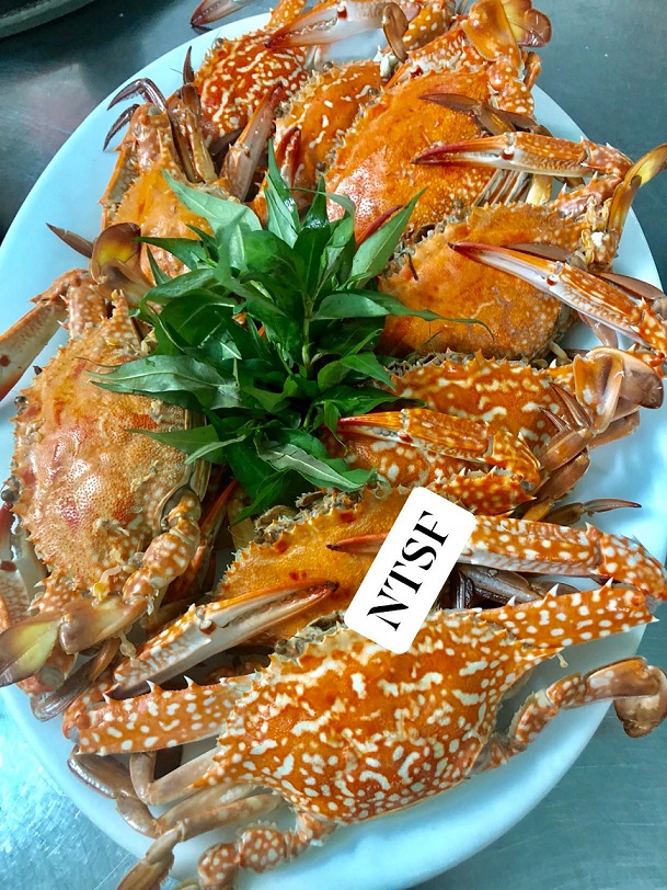 냐짱 씨푸드 Nha Trang SeaFoods 해산물