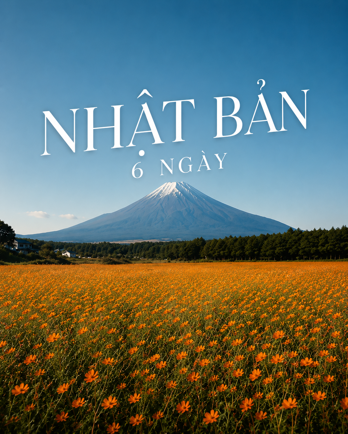 Chuẩn bị hành lý đi Nhật cùng người lớn tuổi