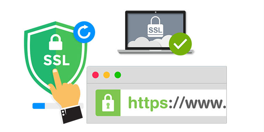 TGROUP & SSL Digital Certificate