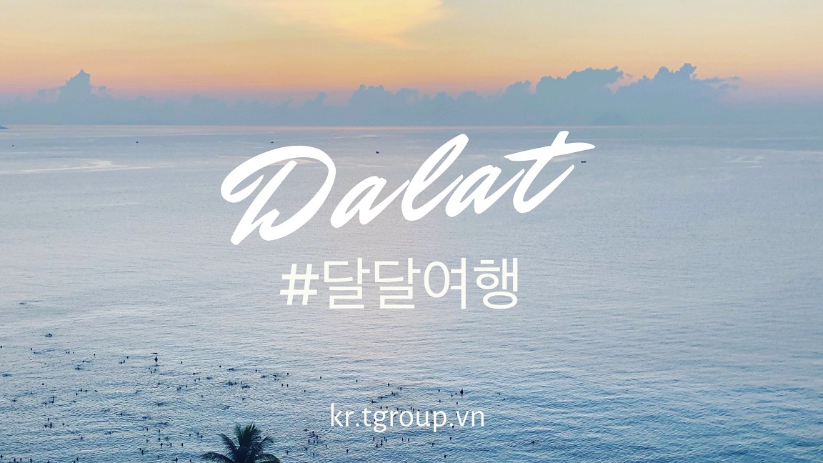 베트남 (달랏) 입국시 유의사항