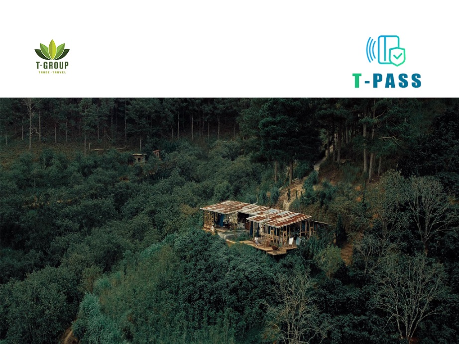 인 더 포레스트 In The Forest 달랏