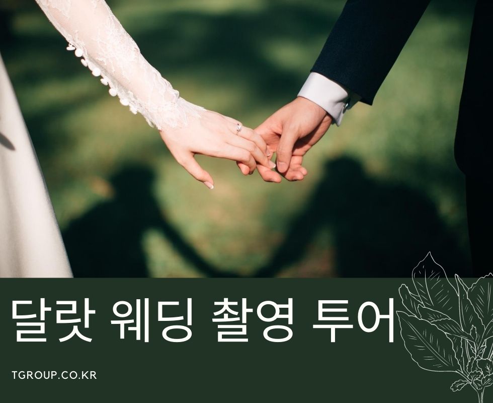 베트남 달랏에서 웨딩풀패키지 촬영 투어 베트남 달랏에서 웨딩풀패키지 촬영 투어
