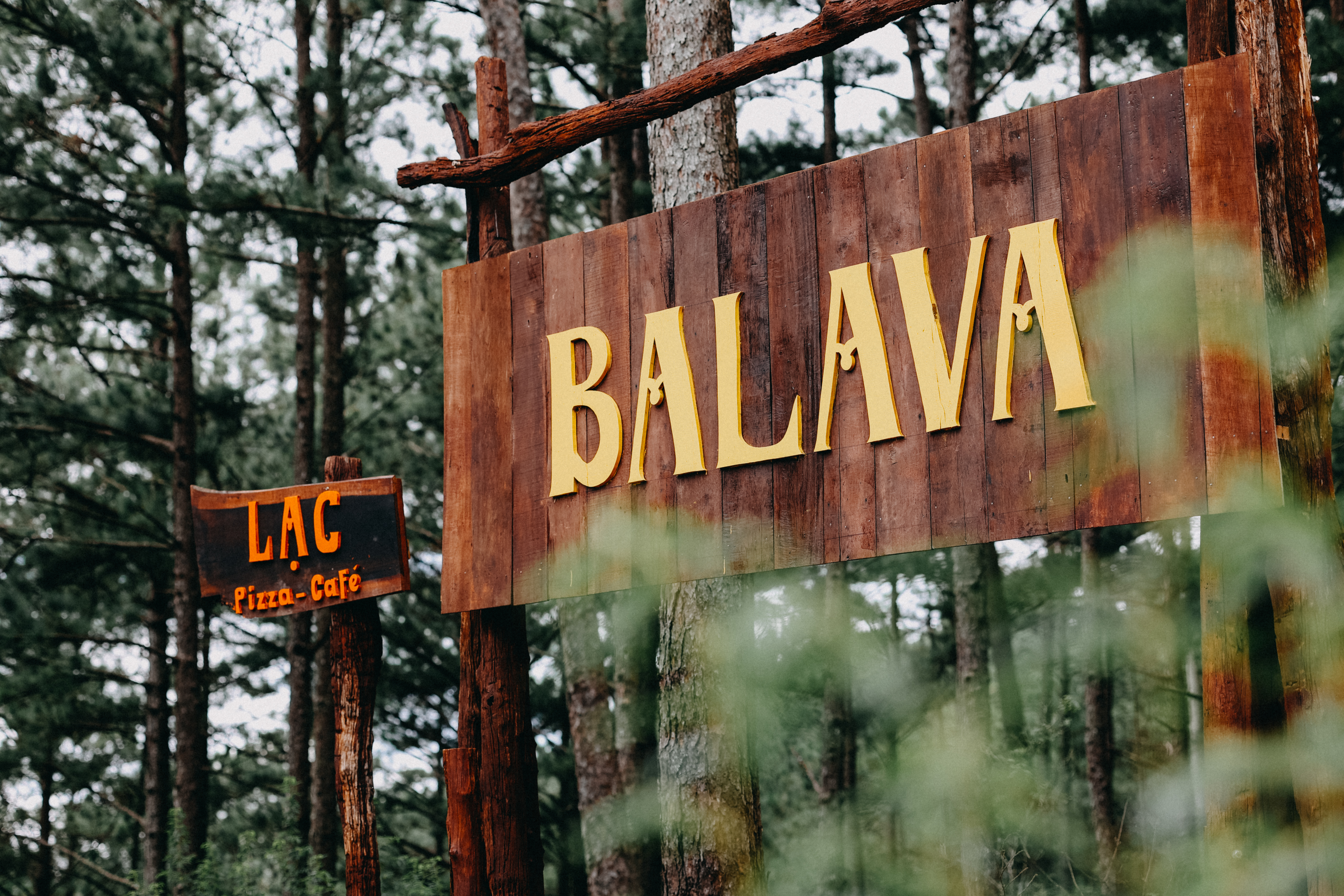 Bỏ phố về rừng với những hoạt động thú vị tại Balava 