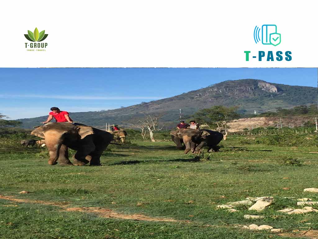 푸안 여우커피 Phu An Coffee