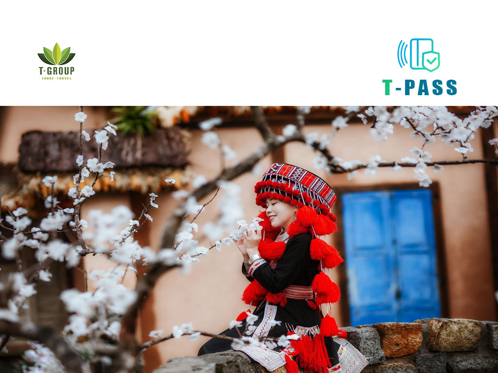 달랏 다파힐 Dapa Hill Da Lat