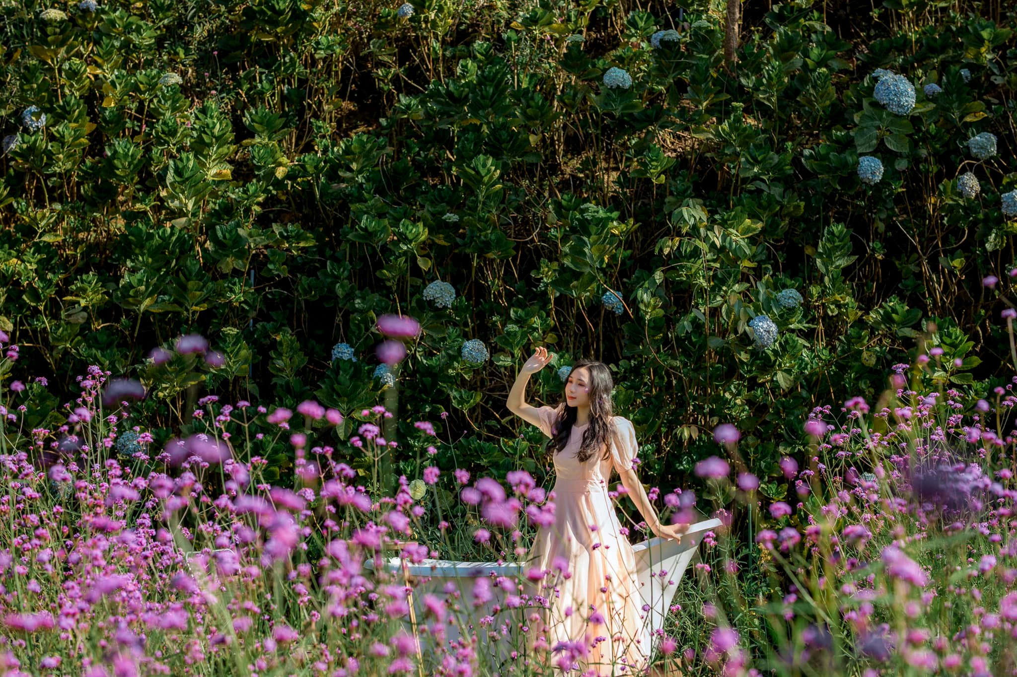 F 꽃밭 카페 F Cafe Dalat Flower Field