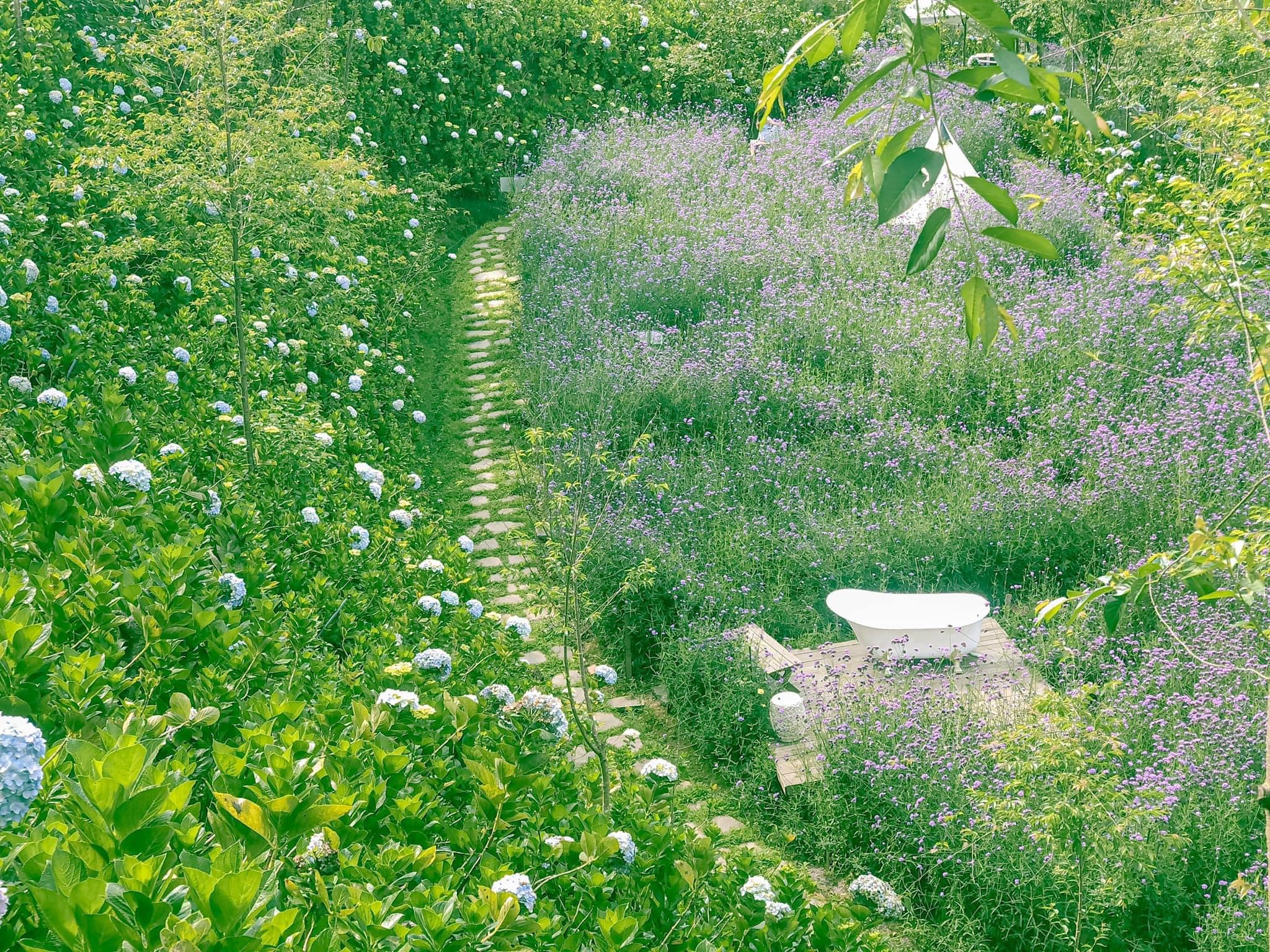 F 꽃밭 카페 F Cafe Dalat Flower Field