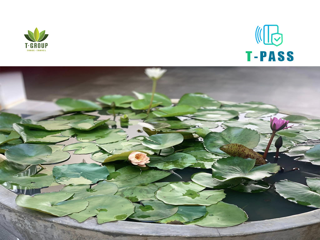 달랏 구루 식당 Guru Chay Da Lat 