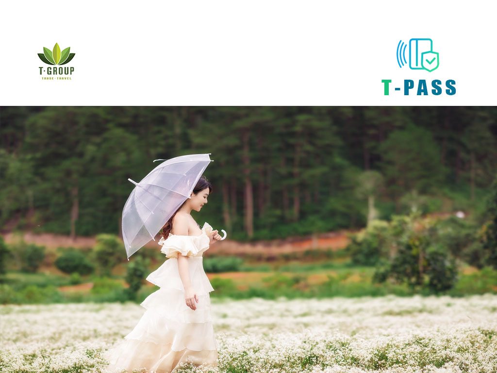 더 플로리스트 The Florest 