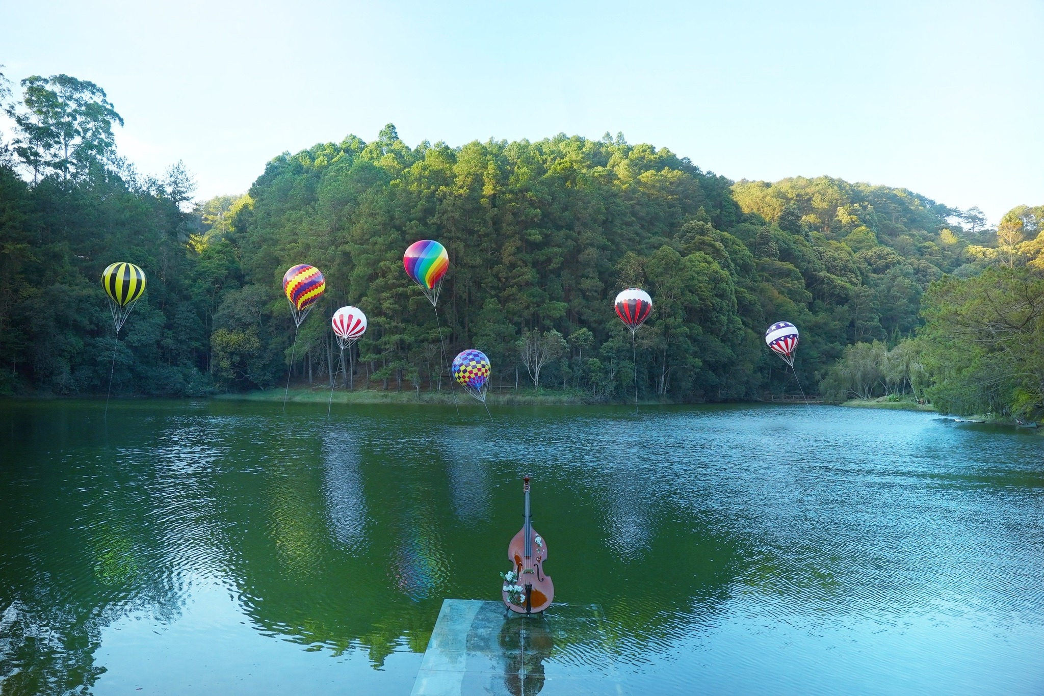 달랏 릉 지아오 흐엉 Rung Giao Huong Da Lat