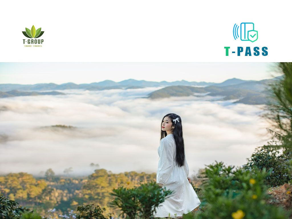 달랏 구름 사냥 및 유명한 관광지 탐방 Cloud Hunting and check in Da Lat 