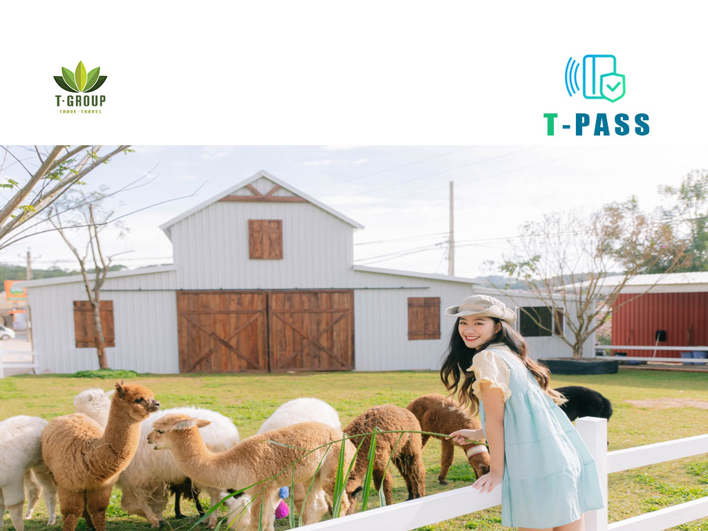 달랏의 새로운 관광지들을 체험 Discovering the new tourist attraction in DaLat