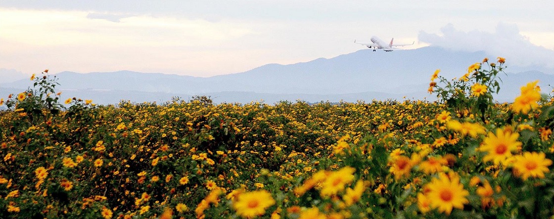 달랏으로 이동하는 방법