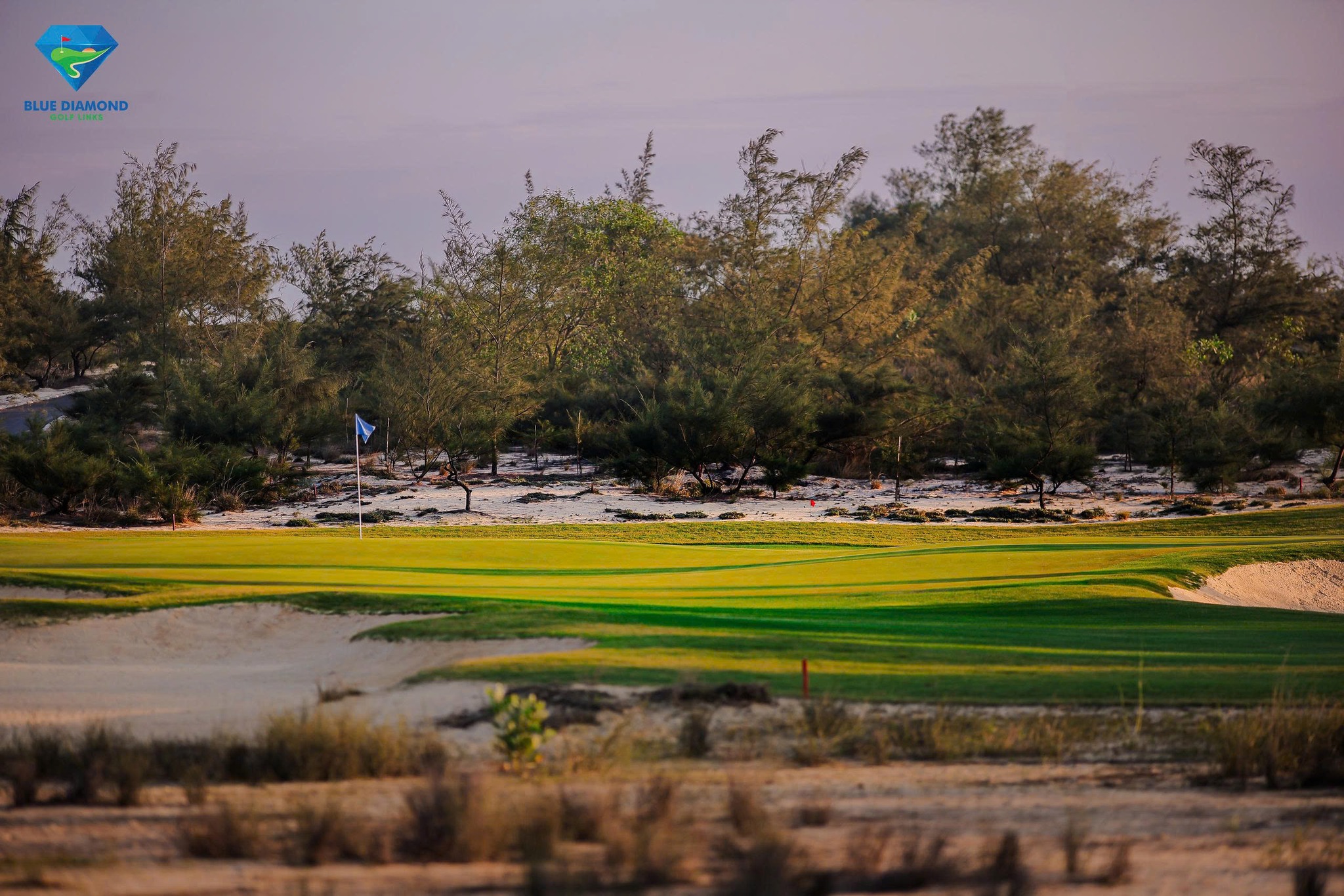 블루 다이아몬드 골프 링크스 꽝찌