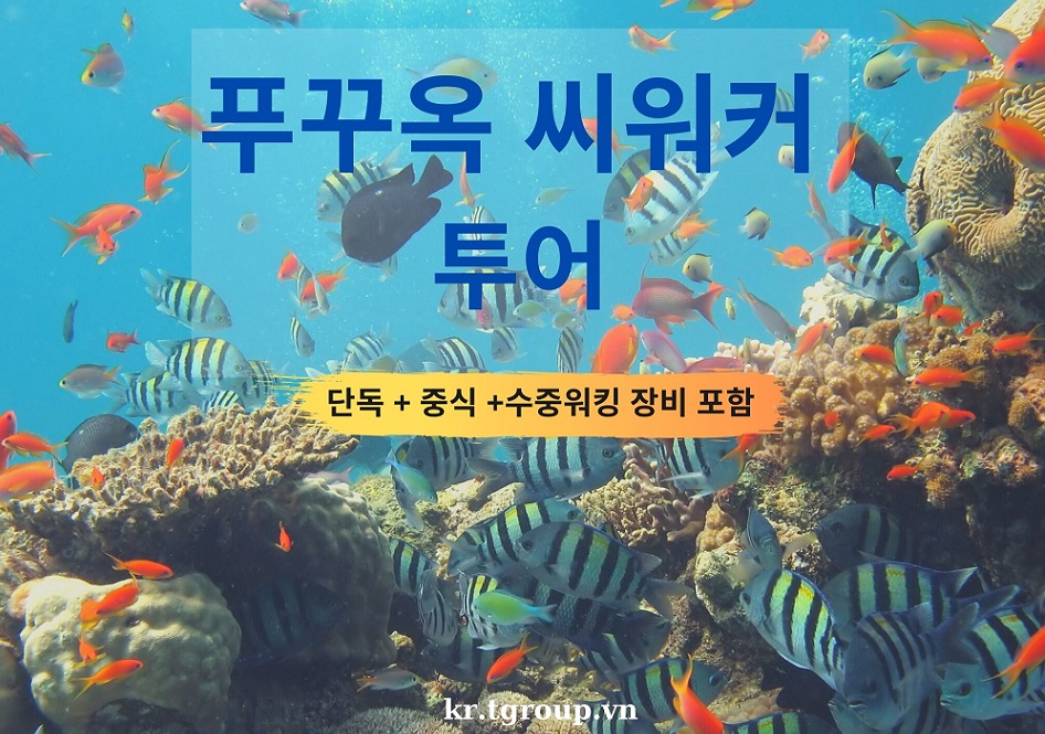 [단독] 푸꾸옥 씨워커 투어