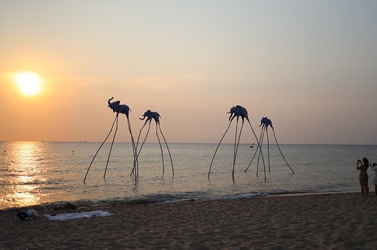 푸꾸옥 남부 및 동부 체험 투어