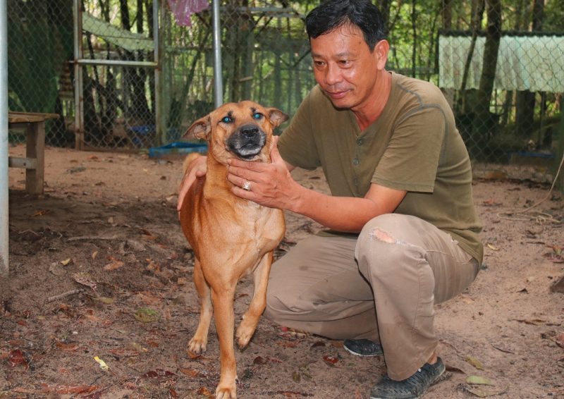 푸꾸옥 리지백 보존센터 Trung tâm bảo tồn chó xoáy 푸꾸옥