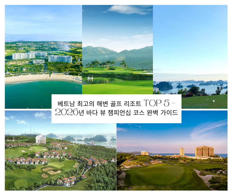 베트남 최고의 해변 골프 리조트 Top 5 – 2026년 바다 뷰 챔피언십 코스 완벽 가이드
